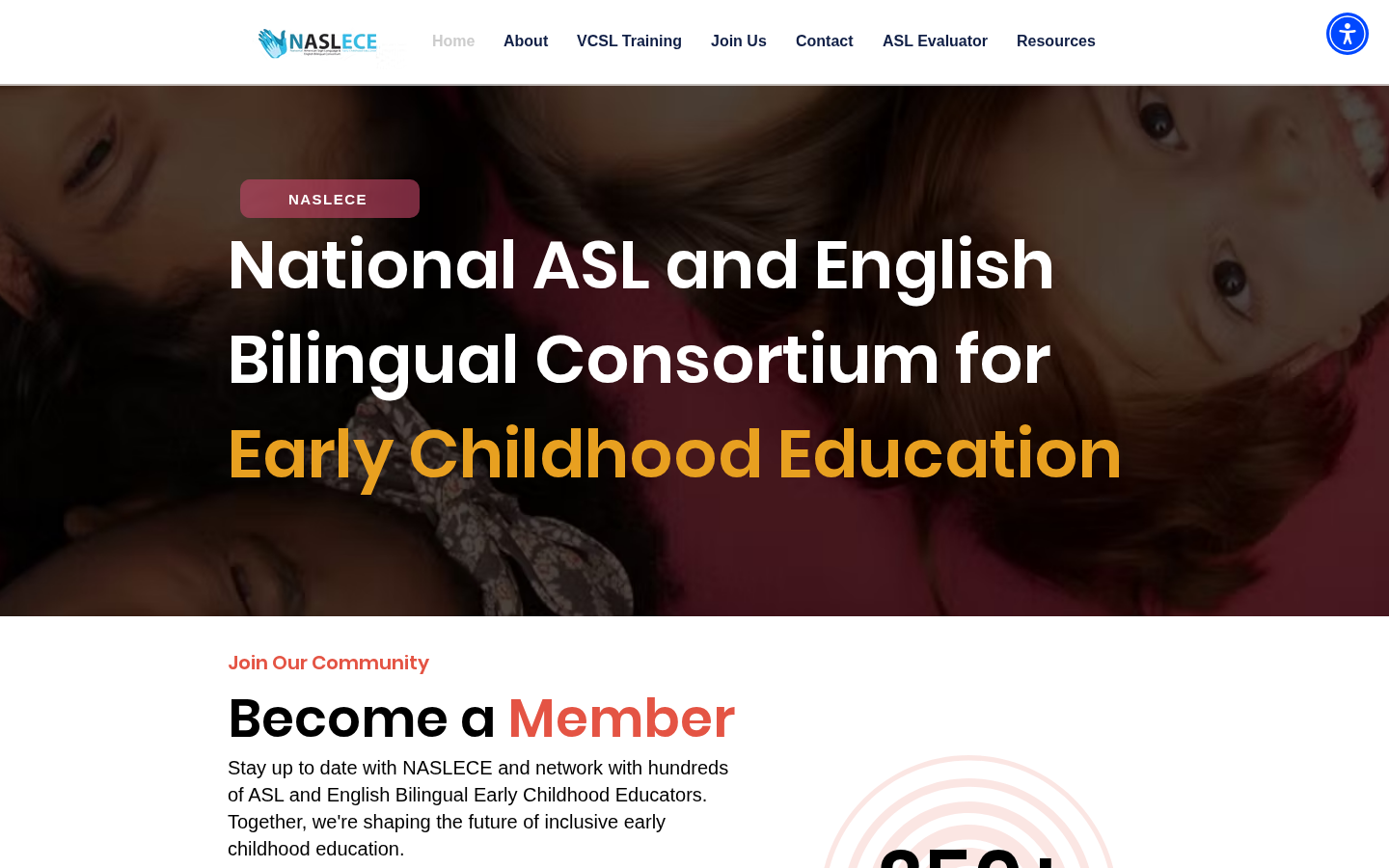 Website design preview for NASLECE